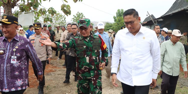 Dandim 0718/Pati Dampingi Kunjungan Kerja Wamentan RI Ke Sejumlah Wilayah di Pati