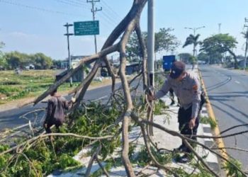 Respon Cepat, Polsek Pati Kota Evakuasi Pohon Tumbang di JLS Pati