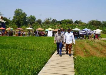 Wisata Baru Sawah Bengkok di Desa Mantingan Diresmikan