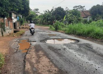 Sejumlah Ruas Jalan di Pati Butuh Penanganan Pemkab Pati Segera Diperbaiki